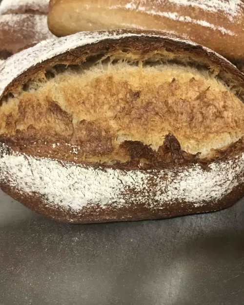 Spelt – Desem
