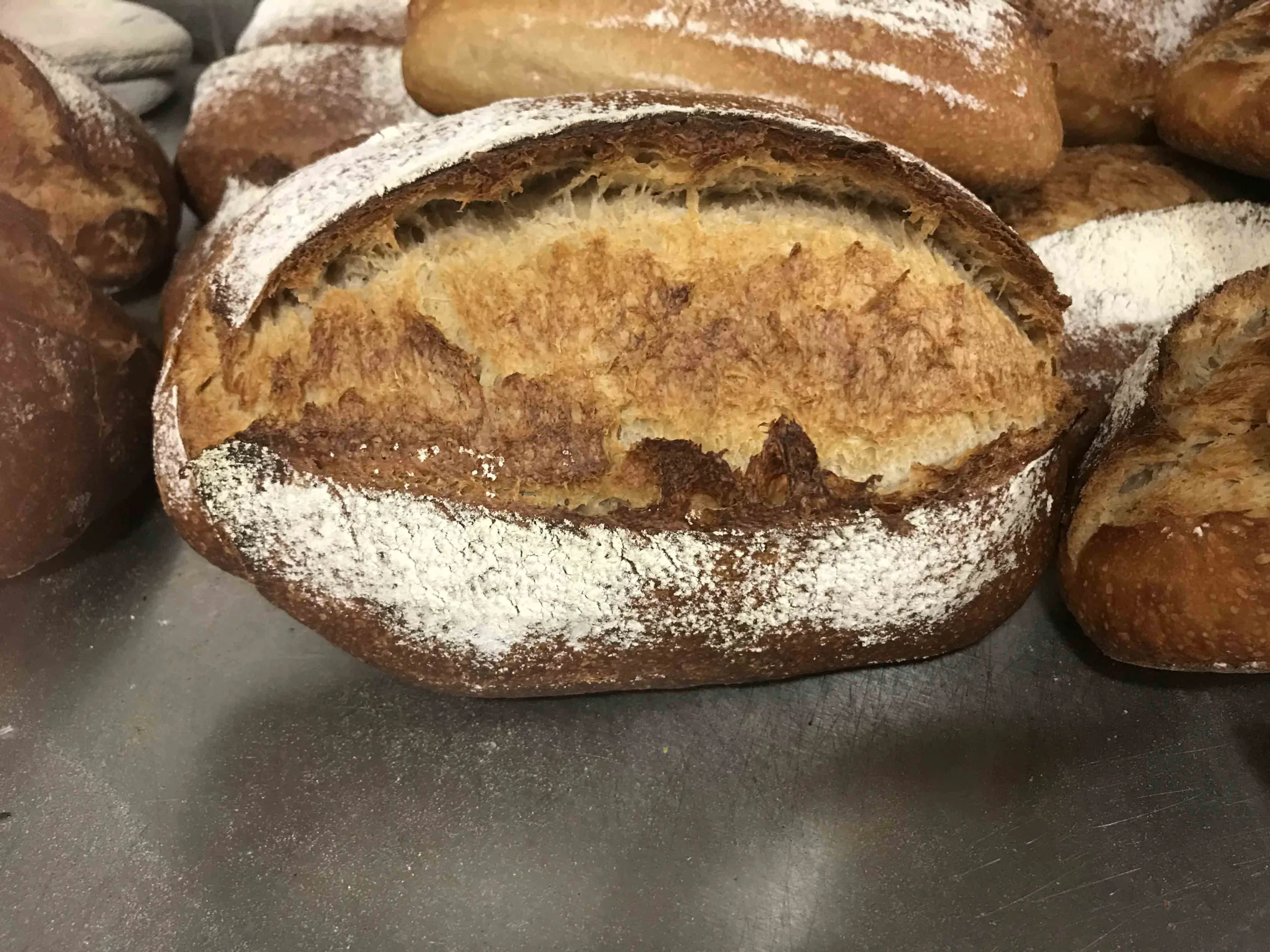 Spelt – Desem