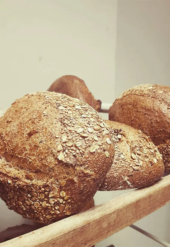 LeBatard Brood 1